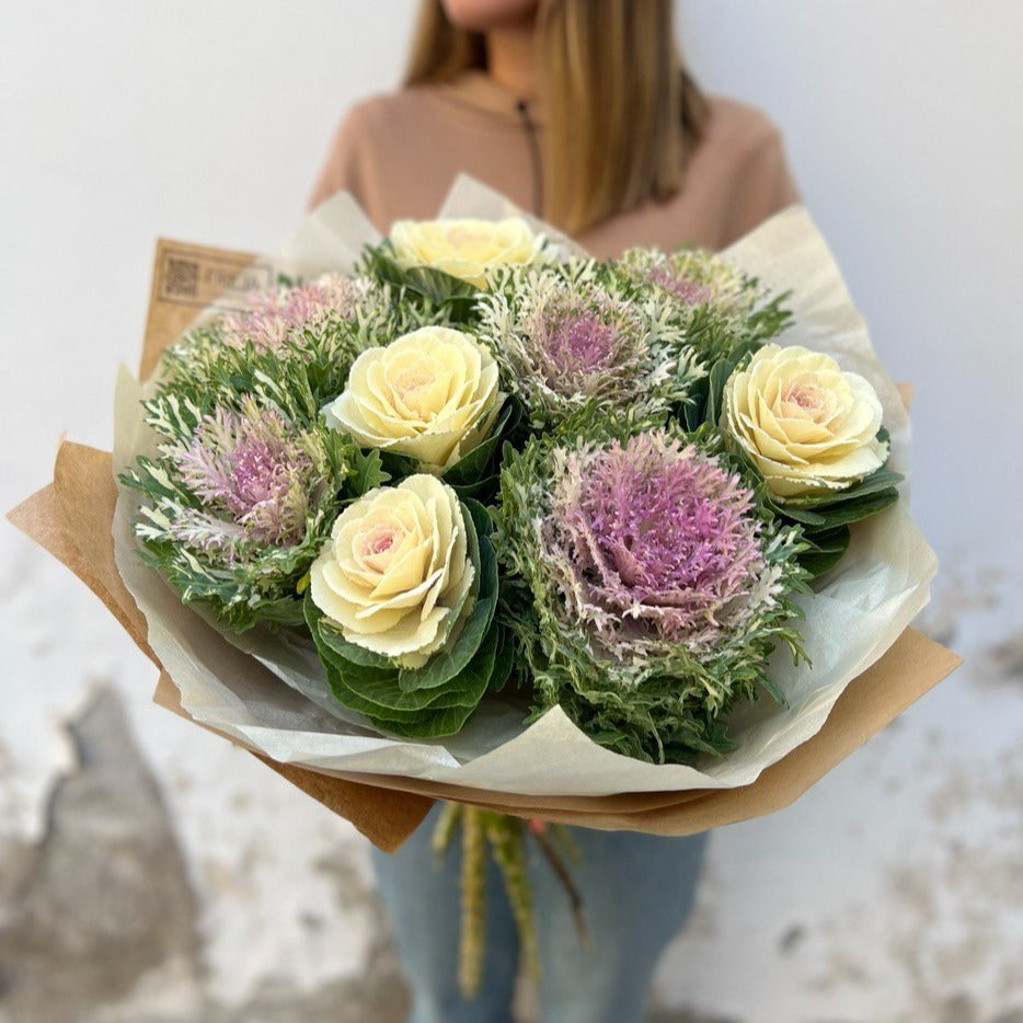 Brassica 🥬
