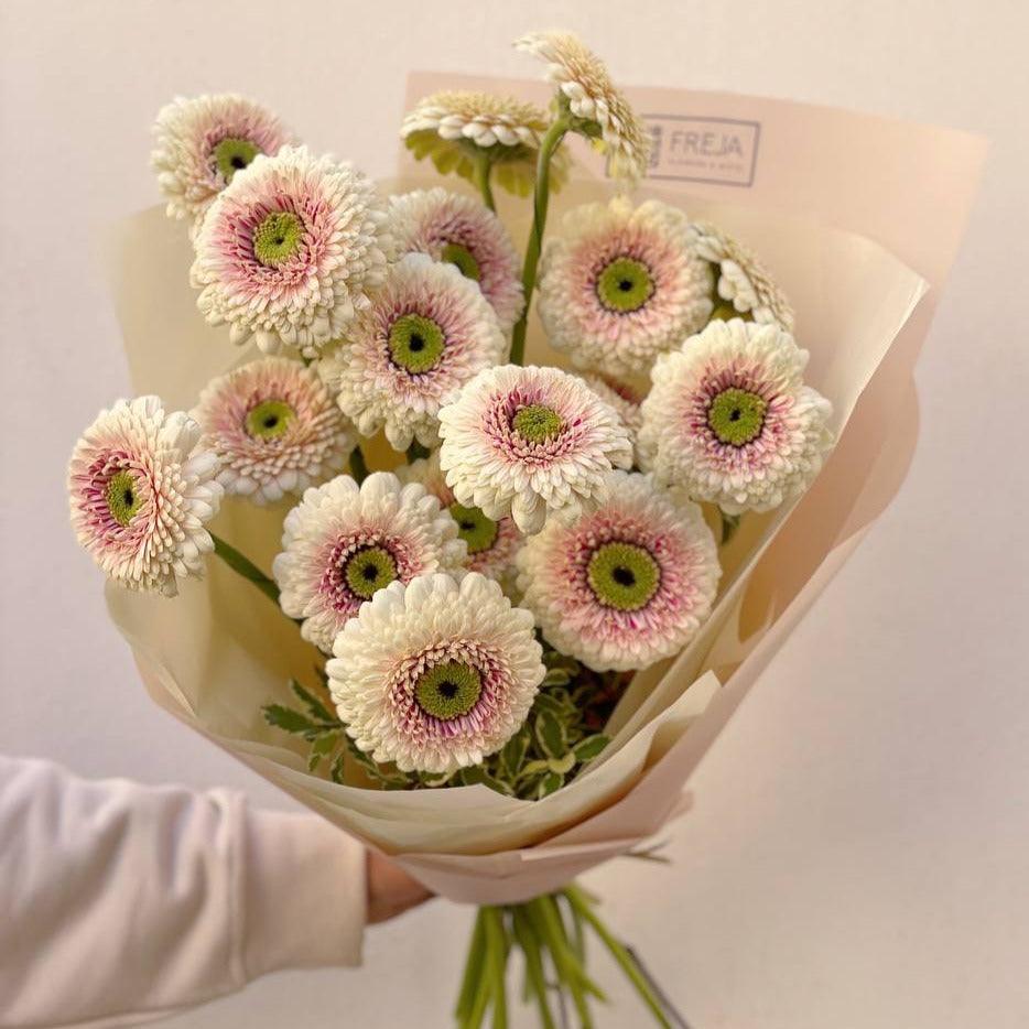 Germini - Freja Květinářství