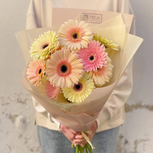 Gerbery - Freja Květinářství