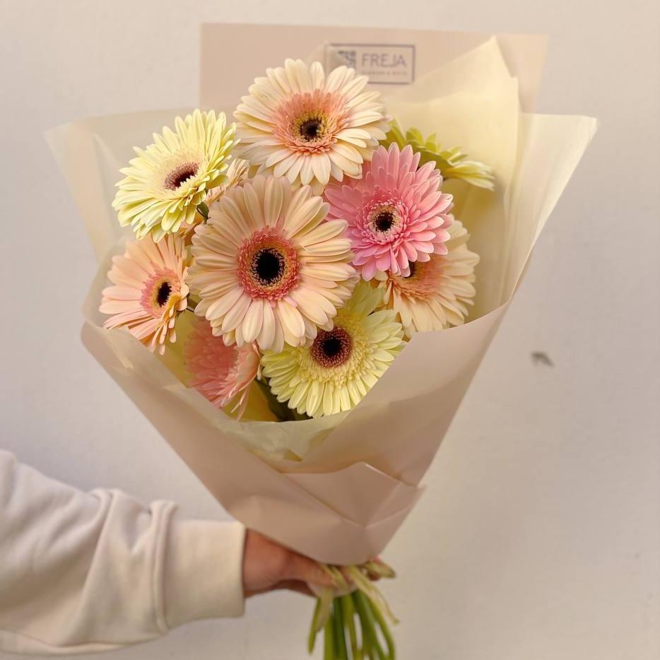 Gerbery - Freja Květinářství