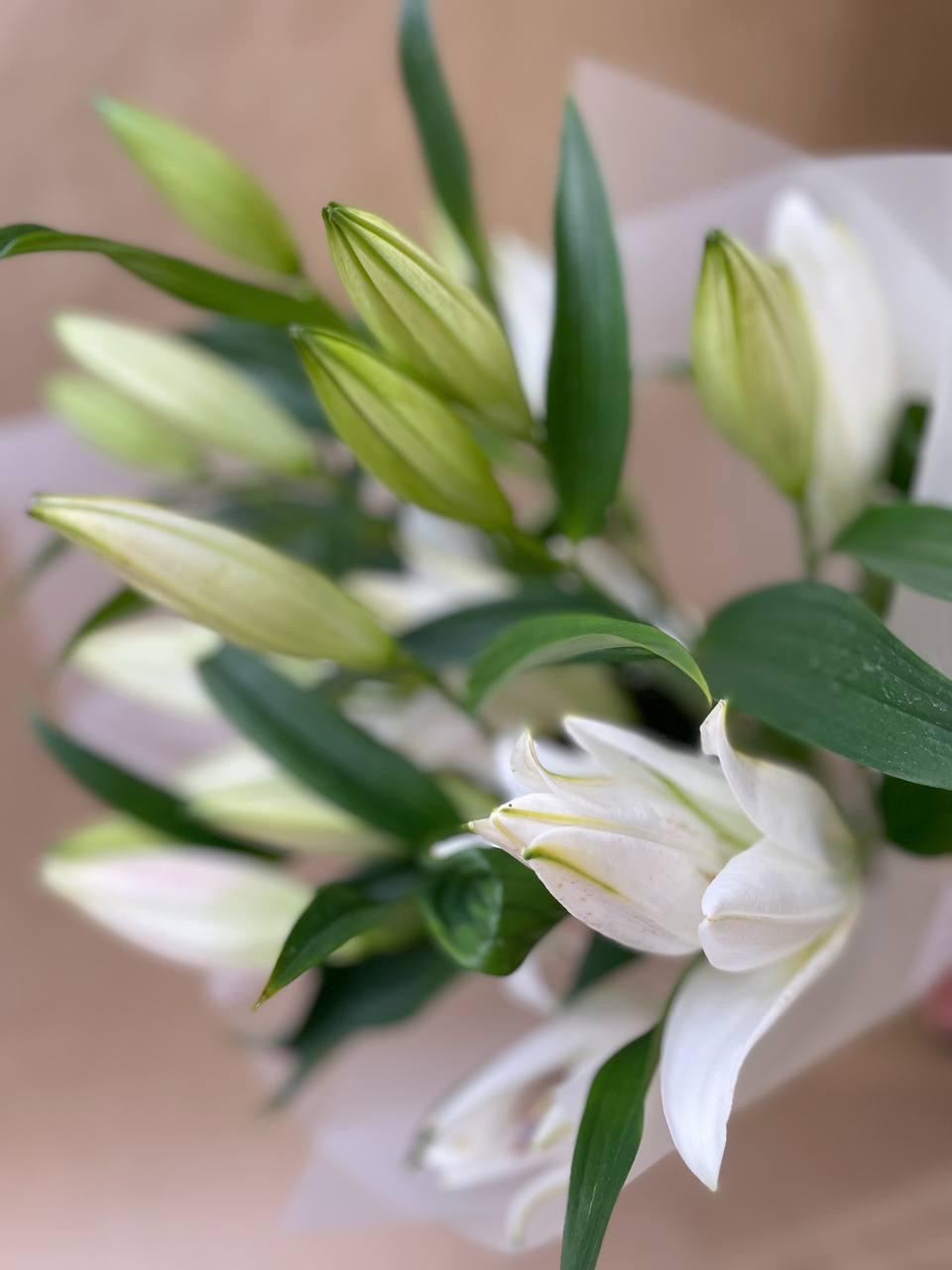 Kytice lilií - Freja Květinářství