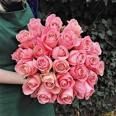 Růžové růže - Freja Květinářství