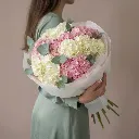 IMG_12213.webp