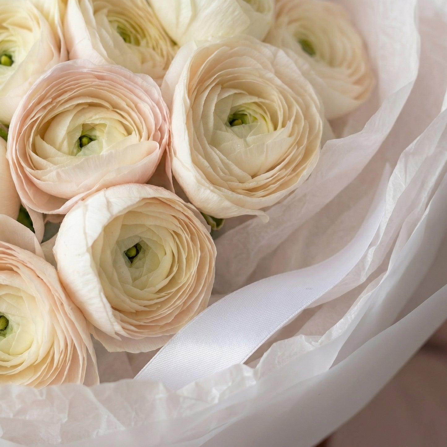 Ванильное облако