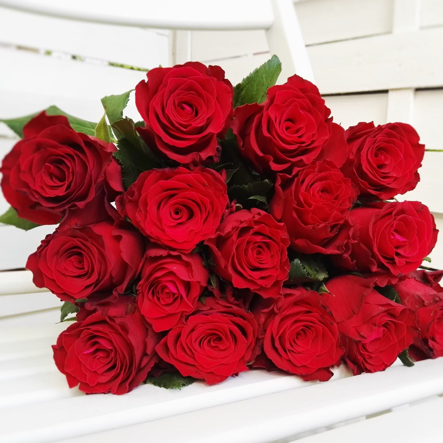 Kytice 15 červených růží - Freja Květinářství