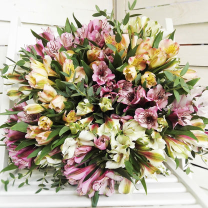 Альстромерії - Freja Květinářství