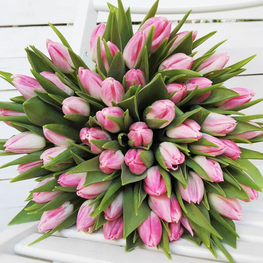 Růžové tulipány - Freja Květinářství