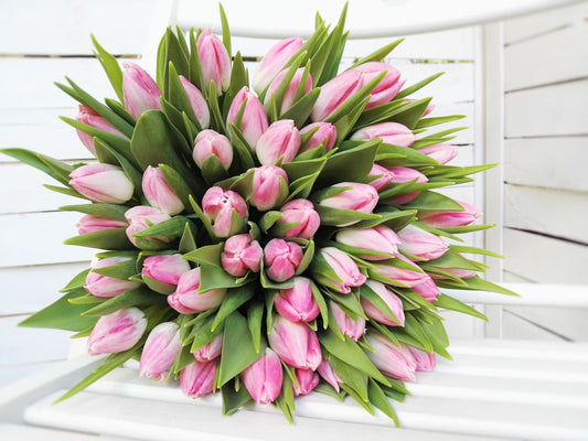 Růžové tulipány - Freja Květinářství