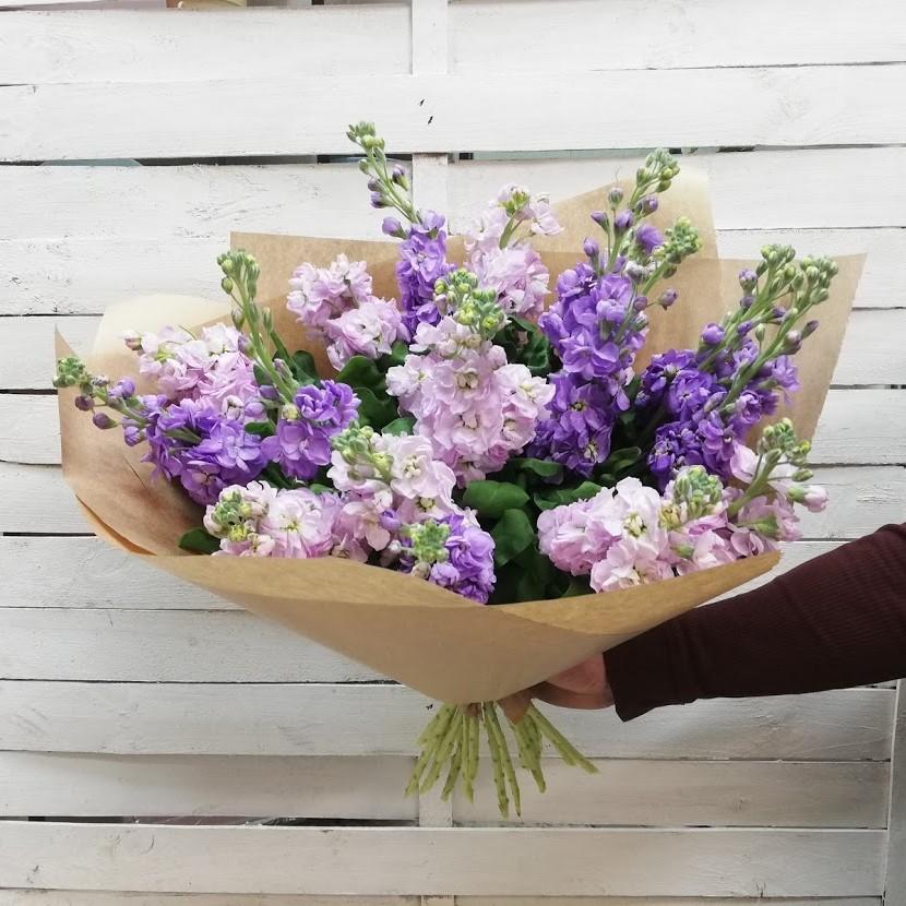 Matthioly - Freja Květinářství