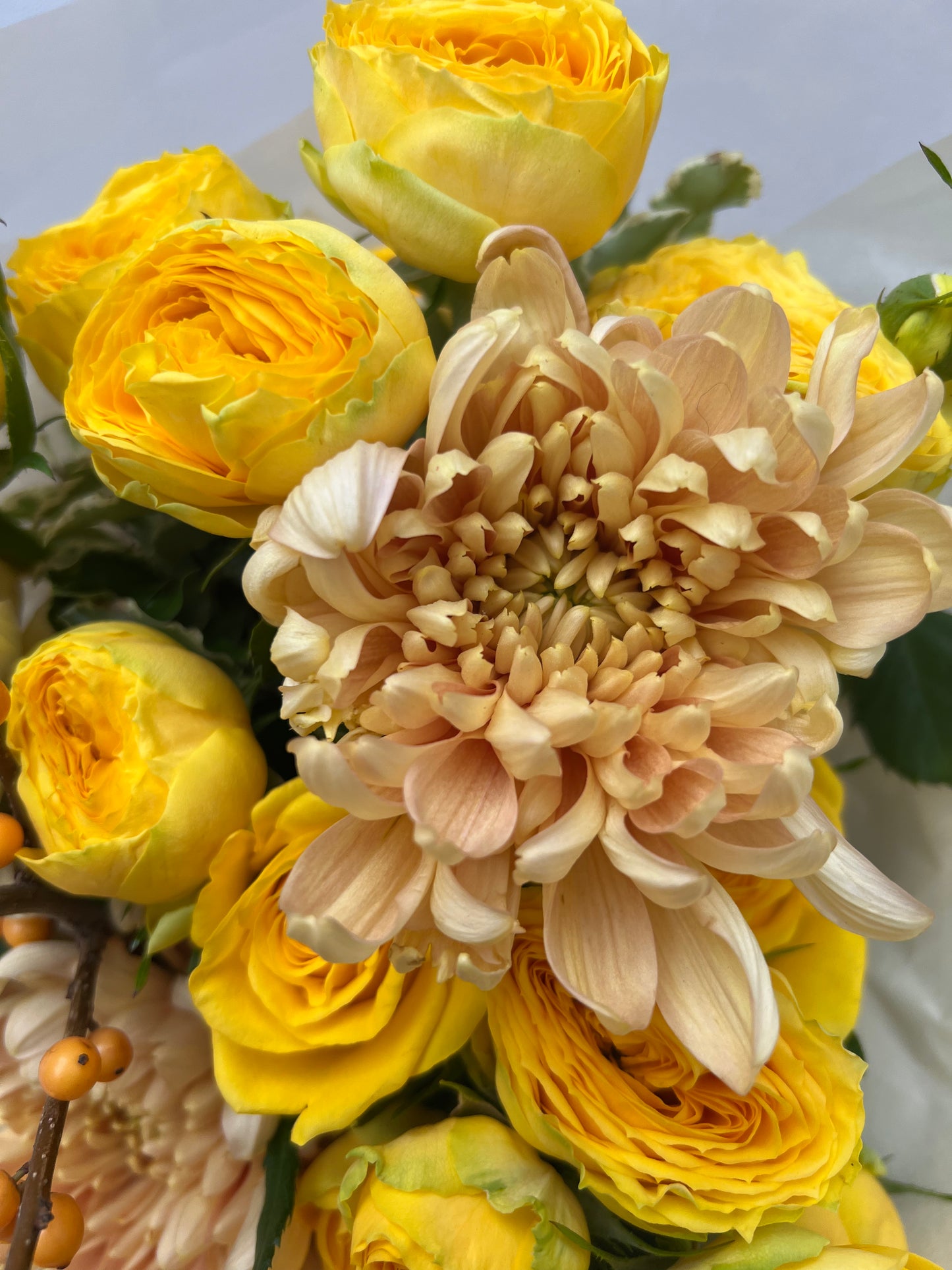 Podzimní žlutý mix