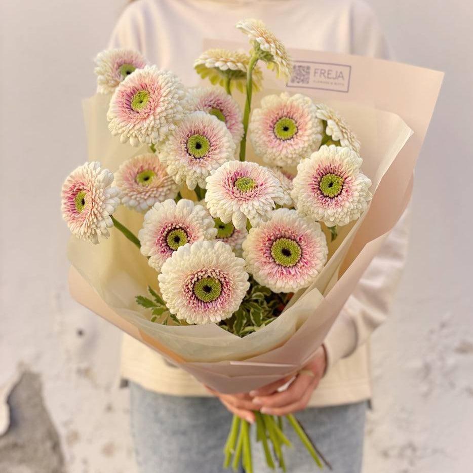 Germini - Freja Květinářství