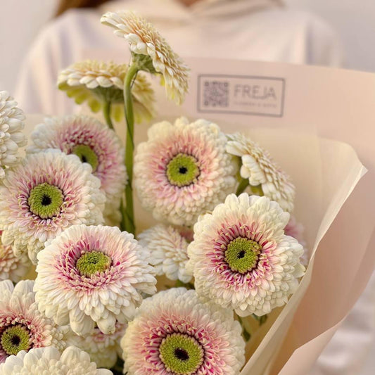 Germini - Freja Květinářství