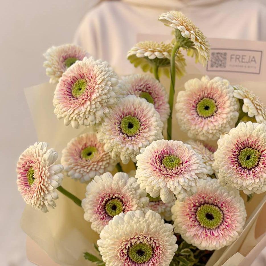 Germini - Freja Květinářství