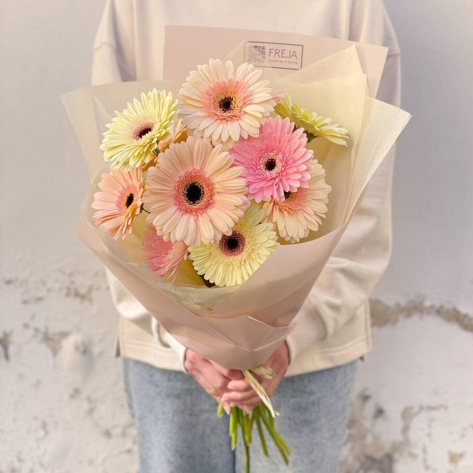 Gerbery - Freja Květinářství