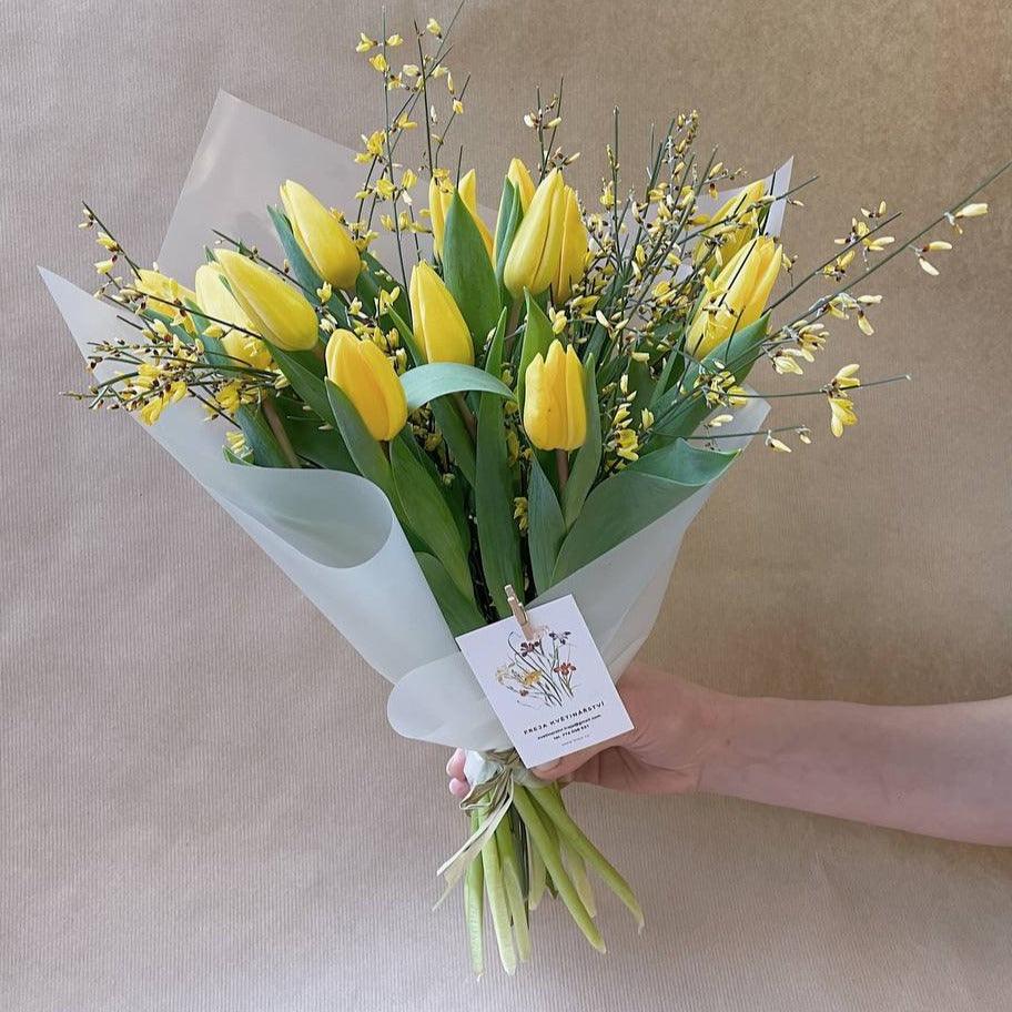 Žluté tulipány a genista - Freja Květinářství