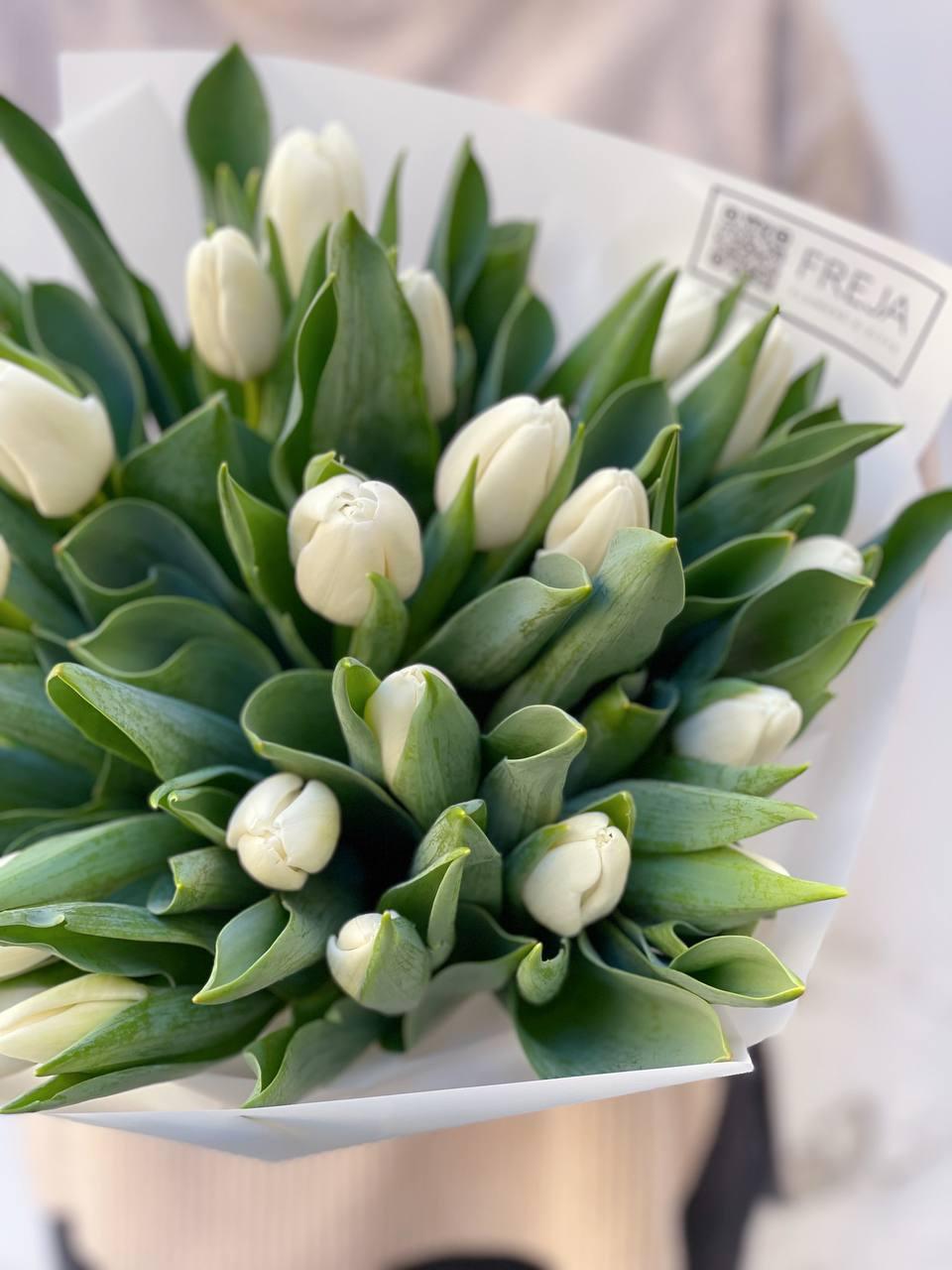 Bílé tulipány - Freja Květinářství