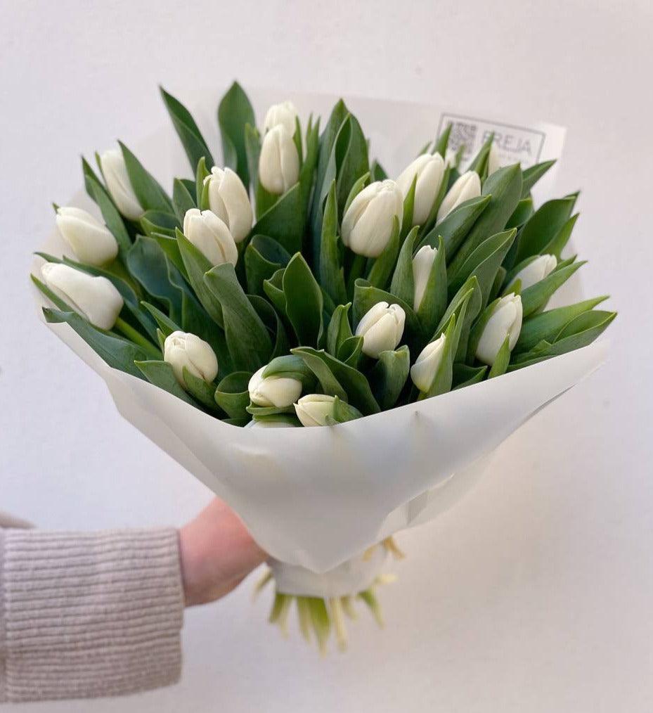 Bílé tulipány - Freja Květinářství