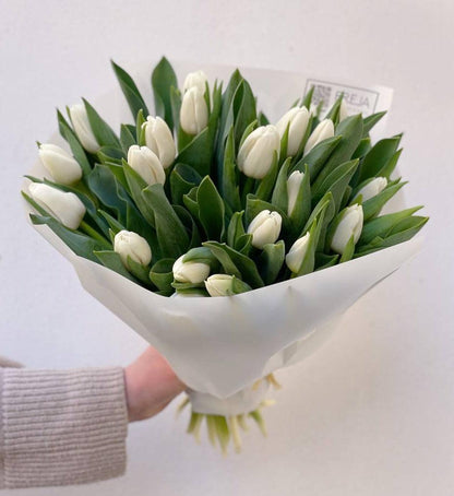 Bílé tulipány - Freja Květinářství