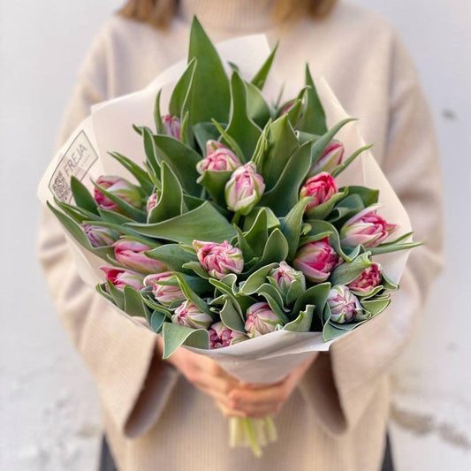 Růžové tulipány - Freja Květinářství