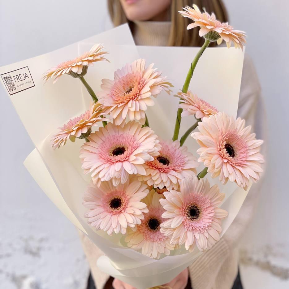 Gerbery - Freja Květinářství