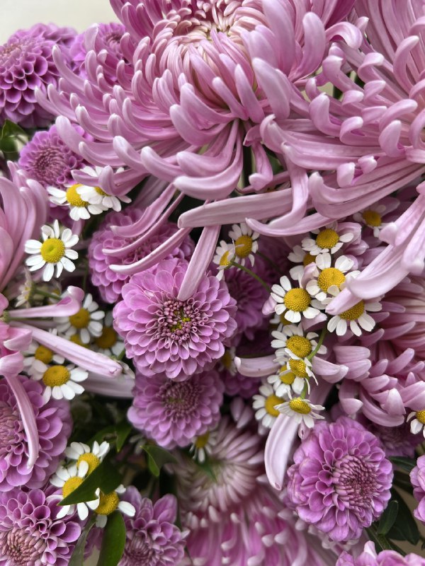 Podzimní fialový mix