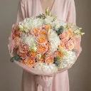IMG-233273.webp