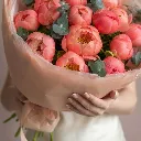 IMG_42402.webp