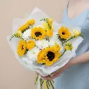 IMG_50031.webp