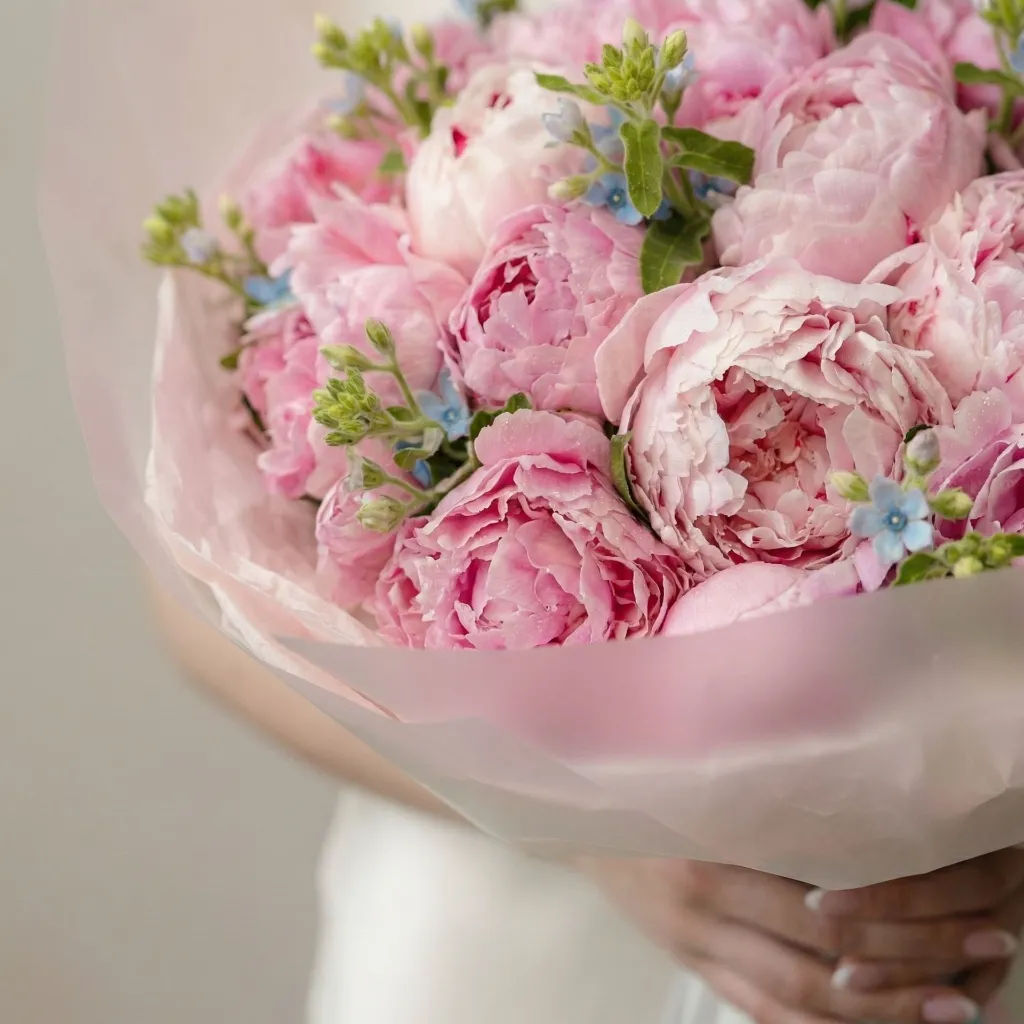 IMG_11221.webp